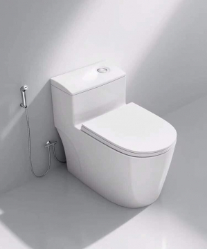 Bồn cầu Veurro VR1001