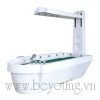 Bồn tắm thông minh Vichy WS-5010A