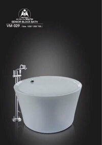 Bồn tắm Việt Mỹ VM-029