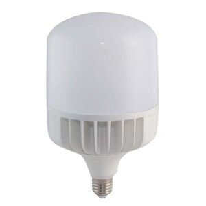 Bóng búp trụ nhôm đúc Rạng Đông TR100 ND/30W.H