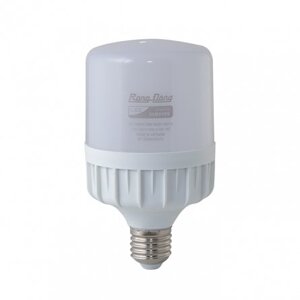 Bóng đèn led bulb Rạng Đông TR80N2 18W E27 SS