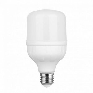 Bóng đèn LED Bulb trụ nhôm nhựa Roman ELB7036/28W