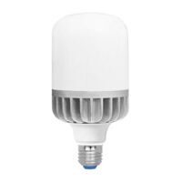 Bóng đèn LED Bulb trụ nhôm Roman ELB7026/30W