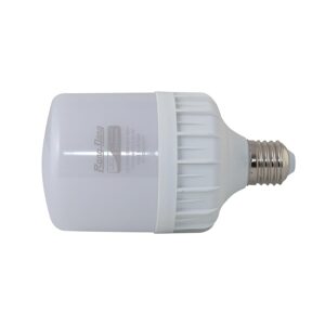 Bóng đèn LED Bulb trụ Rạng Đông TR120N1/40W-SS