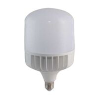 Bóng đèn LED búp Rạng Đông TR140/80W