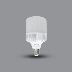 Bóng đèn Led Paragon PBCC2065E27