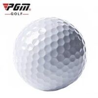 Bóng Golf lõi kép nổi trên nước PGM Q004