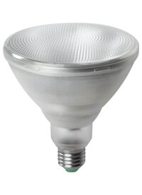 Bóng Led PAR38 15.5W góc chiếu 35°