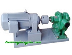 Buly trợ bơm đầu gang phốt Amiăng A06CU1-050 (AM)