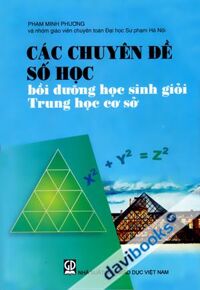 Các chuyên đề số học bồi dưỡng học sinh giỏi trung học cơ sở