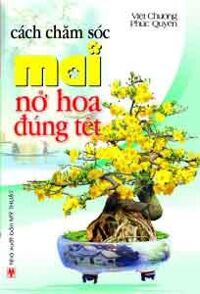 Cách Chăm Sóc Mai Nở Hoa Đúng Tết