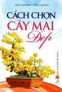 Cách Chọn Cây Mai Đẹp