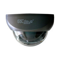 Camera Dome Goldeye SED33L