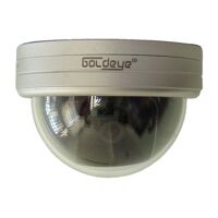 Camera Dome Goldeye SVD16U