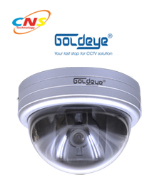 Camera Dome Goldeye SVD33L