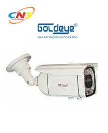 Camera Goldeye WIF23LV-IR