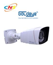 Camera Goldeye WO33L-IR