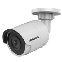 Camera IP 4MP Hikvision DS-2CD2043G0-I