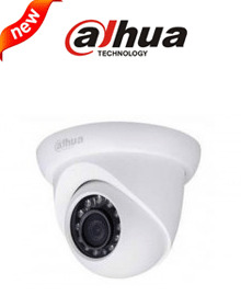 Camera IP Dahua Dome DS2130DIP