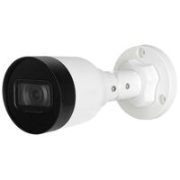 Camera IP Dahua DS2230SFIP-S2 - 2MP