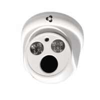 Camera IP Dome 2MP Vantech VP-2110P