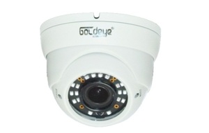 Camera IP Dome Goldeye NZD574-IR - 4MP