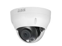 Camera IP Dome hồng ngoại Dahua DS2431RDIP-S2 - 4MP