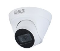 Camera IP Dome hồng ngoại Dahua DS2431TDIP-S2 - 4MP