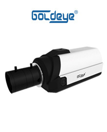 Camera IP Goldeye GE-NB540