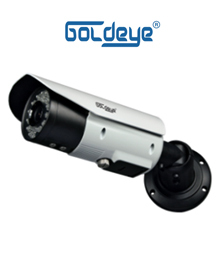 Camera IP GOLDEYE NWE514-IR