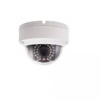 Camera IP HDParagon HDS-2120IRAW