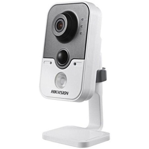 Camera IP Hikvision DS-2CD2455FWD-IW