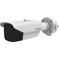 Camera IP HIKVISION DS-2TD2136-7/VP