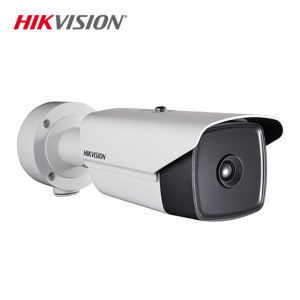 Camera IP HIKVISION DS-2TD2136-10/VP