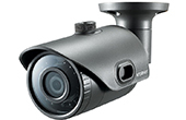 Camera IP hồng ngoại 2.0 Megapixel WISENET SNO-L6013RP/AJ