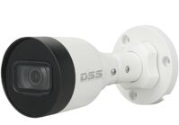 Camera IP hồng ngoại Dahua DS2431SFIP-S2 - 4MP