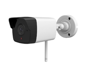 Camera IP hồng ngoại HDParagon HDS-1021IRAW - 2MP