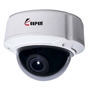 Camera IP Keeper NJV-100W