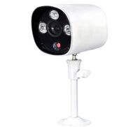 Camera IP Outdoor eView PG603N10-W