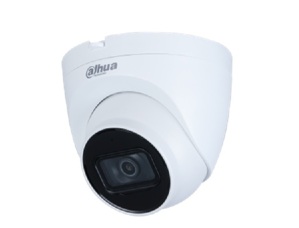 Camera IP Starlight Dome DAHUA IPC-HDW2231TP-AS-S2