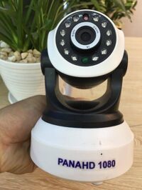 Camera không dây Pana HD-1080P