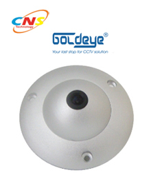 Camera ngụy trang Goldeye FSH33L