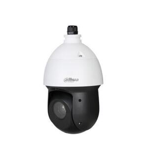 Camera Speed Dome IP Dahua SD49225T-HN