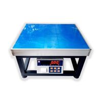 Cân ghế Điện tử 300kg in tem dán Yaohua PWE300-G56