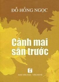 Cành mai sân trước