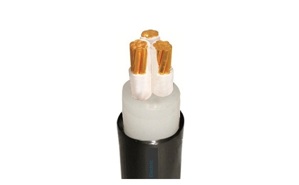 Cáp điện lực 3 lõi CXV-3R-600V CADIVI CV CXV-3×3.5
