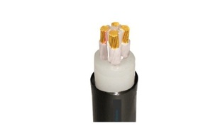 Cáp điện lực hạ thế 1 lõi 0.6/1kV CADIVI CV CXV-10