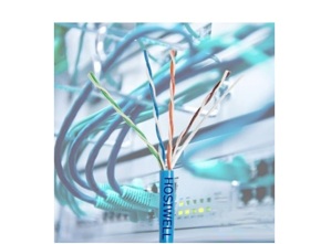 Cáp mạng Hosiwell Cat6 FTP 30026-BL