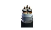 Cáp nhôm trung thế Cadivi AXV/SE-DSTA-3×185