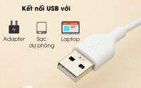 Cáp Type C 1m AVA DS431-WB